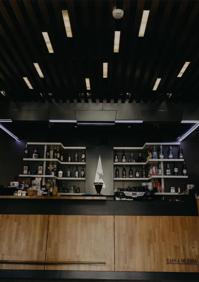 Pensiune Restaurant Capra Neagra モイセイ エクステリア 写真