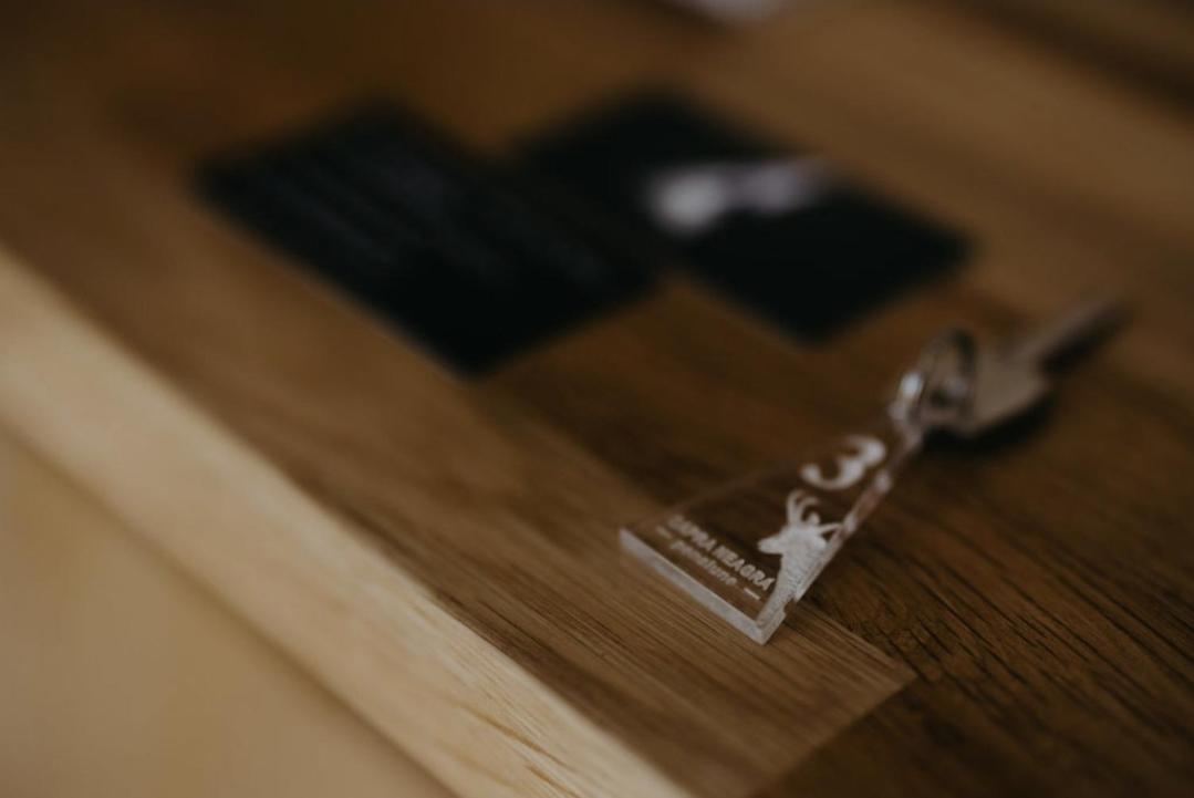 Pensiune Restaurant Capra Neagra モイセイ エクステリア 写真